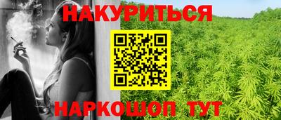 амф Новодвинск