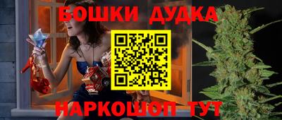 амф Новодвинск