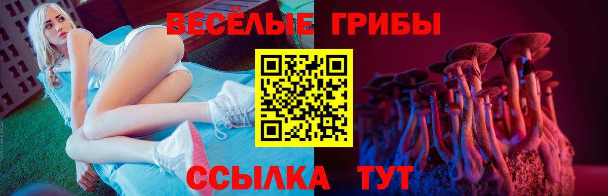 купить наркотики цена  Вход с VPN  Советский  Псилоцибиновые грибы Psilocybine cubensis 